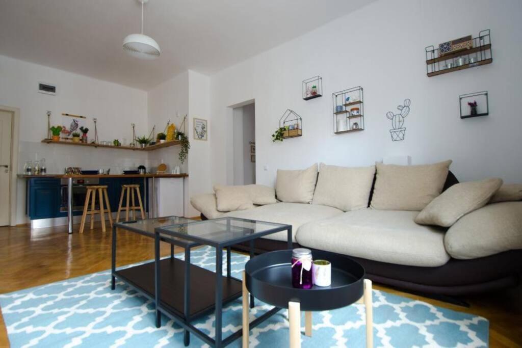 Stylized And Modern Apartment In บูคาเรสต์ ภายนอก รูปภาพ